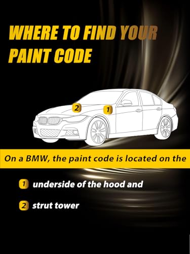 Alpine White 300 (For BMW / Alpine White(300) for Alpine White (300) Compatible with 3/5/7 Series/X2/X4/2018 X5)