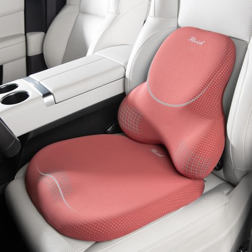 Car Seat Cushion and Lumbar Support Pillow for Office Chair Car (Red / 2Pcs)