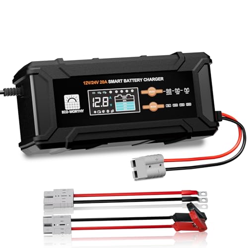 12V 24V 20A Smart Battery Charger for Lead