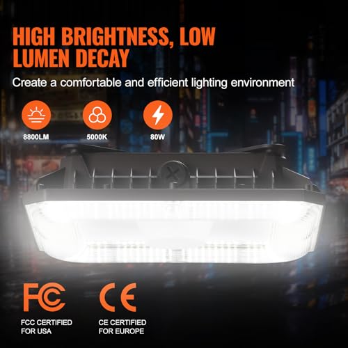 4 Pack LED Canopy Lights