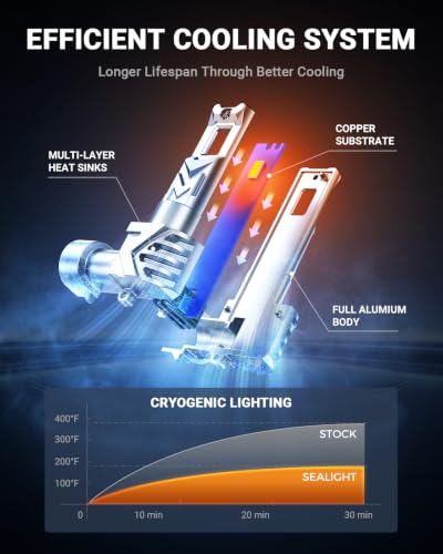 H10 LED Fog Light Bulbs (White / H10)