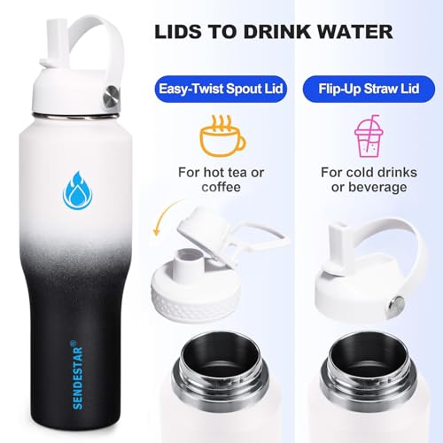 32oz Water Bottle Wide Mouth Stainless Steel Vacuum Insulated Double Wall with 2 Straw Lids Fit in Any Car Cup Holder (Day&Night / 32 Ounces)