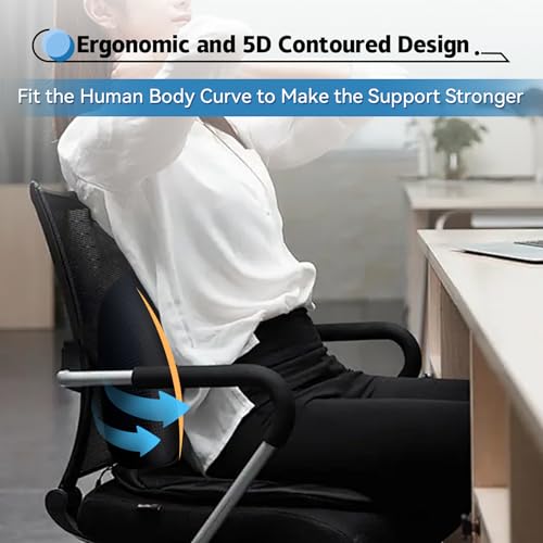 Lumbar Support Pillow for Car (Backsaver-five)