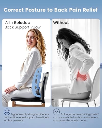 Lumbar Support Pillow for Office Chair (Blue)