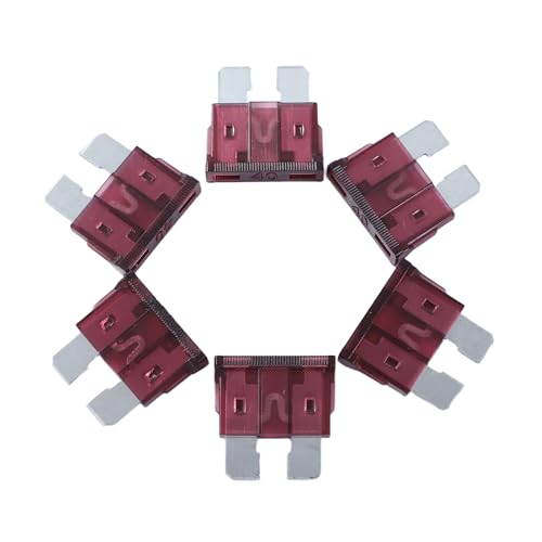 100 Pack Auto Fuses 40 AMP ATC (40 AMP)