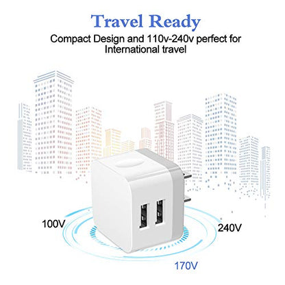 Dual USB Wall Charger (white#)