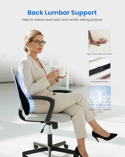 Lumbar Support Pillow for Office Chair (Classic Gray)