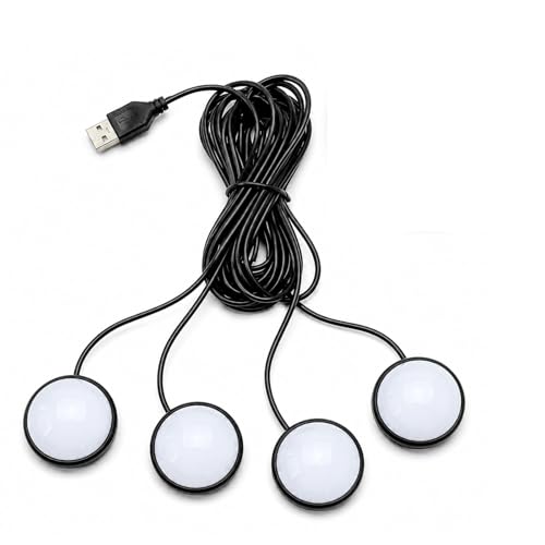 Car Interior LED Lights (White)