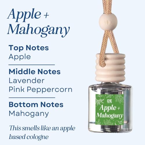 CANDECraftCo 2 Pack Hanging Car Air Freshener Diffuser for Essential Oils