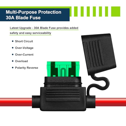 12V 20A Smart Charger for Lithium LiFePO4 Deep Cycle Rechargeable Batteries (20 Amp)