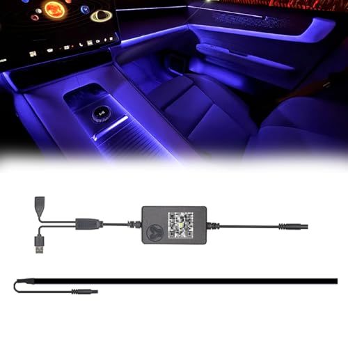 Center Console + Dashboard Ambient Light for 2021 (Center Console+Dashboard Ambient Light)