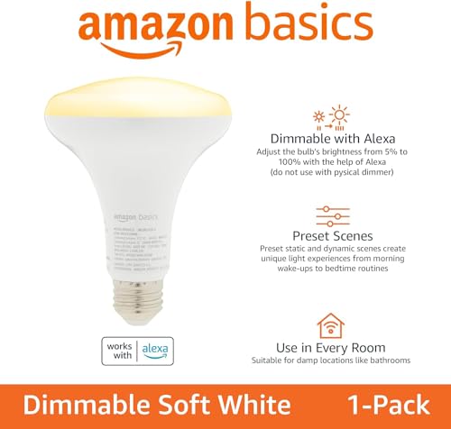 Smart BR30 LED Light Bulb (1 Pack)