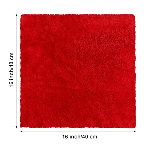 30 Pcs 16 x 16 Inch Edgeless Microfiber Plush Towels for Cars Detailing Drying Wash Polishing Absorbent Cleaning Cloths (Red / 16 x 16 Inch)