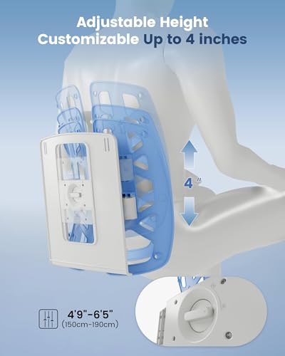 Lumbar Support Pillow for Office Chair (Blue)