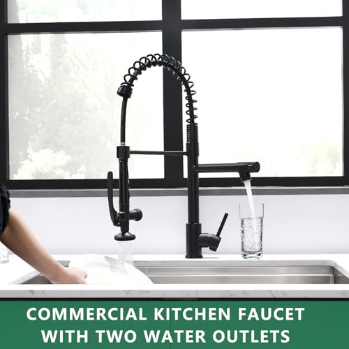 Black Kitchen Faucet (Matte Black)