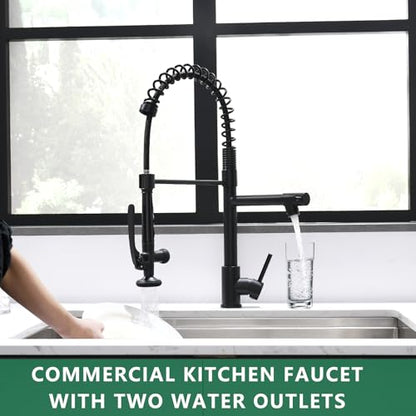 Black Kitchen Faucet (Matte Black)