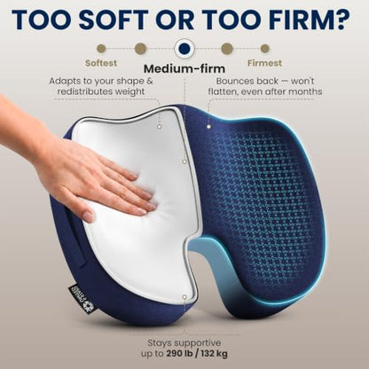 Seat Cushion Memory Foam Chair Pad for Tailbone Pain Relief (Blue / X-Large)
