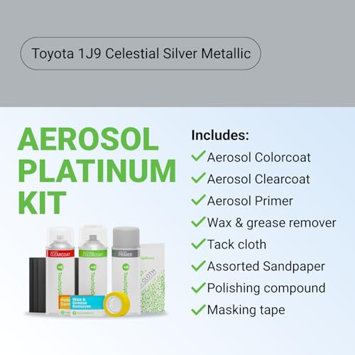 Car Paint Touch Up Spray Kit (Aerosol Spray - Platinum Kit / Celestial Silver Metallic)