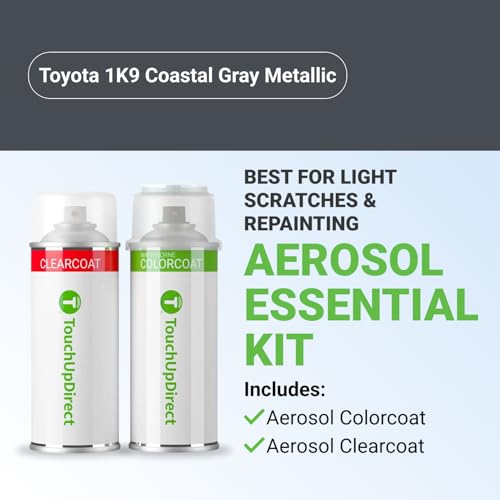 Car Paint Touch Up Spray Kit (Aerosol Spray - Essential Kit / Coastal Gray Metallic)