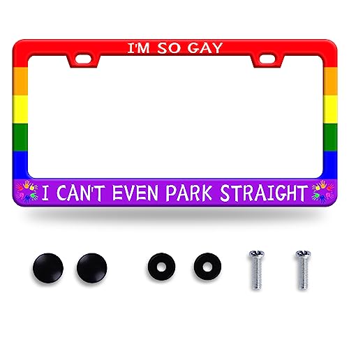 I'm So Gay I Can't Even Park Straight License Plate Frame 12.3"x6.3" (Gay Rainbow)