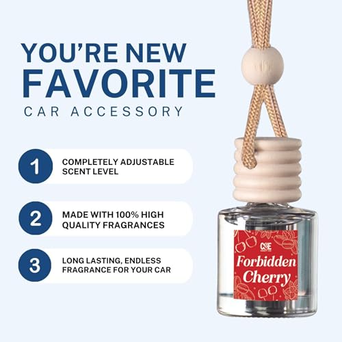 CANDECraftCo 2 Pack Hanging Car Air Freshener Diffuser for Essential Oils