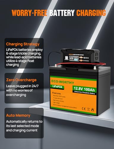 12V 24V 20A Smart Battery Charger for Lead
