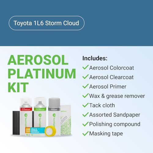 Car Paint Touch Up Spray Kit (Aerosol Spray - Platinum Kit / Storm Cloud)