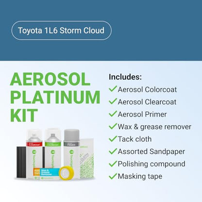 Car Paint Touch Up Spray Kit (Aerosol Spray - Platinum Kit / Storm Cloud)