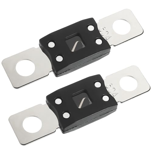 60A MEGA High Current Fuse (60A)