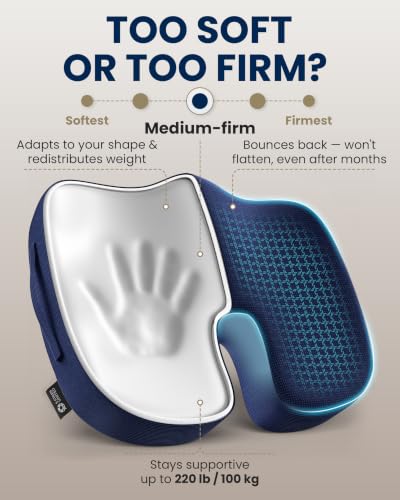 Seat Cushion Memory Foam Chair Cushion for Tailbone Pain Relief (Blue / Large)