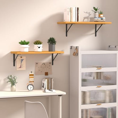 4 Pack L18 x H 12" Black Heavy Duty Shelf Brackets with Screws Metal Shelf Brackets Shelf Support Angle Brackets for Shelves L Brackets Heavy Duty Floating Shelf (4 Pack-Black / 18''x12'')
