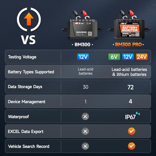 BM300 12V Battery Monitor (Black)