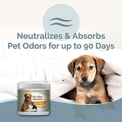 15oz Gel Pet Odor Eliminator (15 Ounce (Pack of 2))