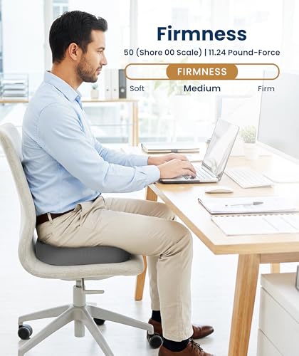 Doctor Recommended Memory Foam Seat Cushion for Office Chairs & Car (Gray / Large)