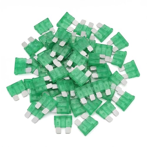 80Pcs) 30 Amp Standard Fuse, 30A Car Blade Fuses for Car/RV/Truck/SUV/Motorcycle/Boat (30A)