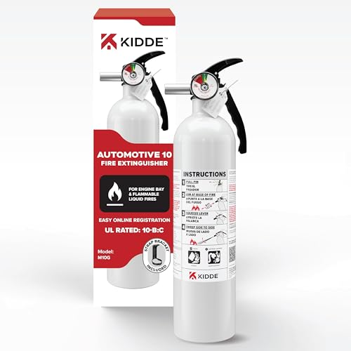 Auto 10 Fire Extinguisher for Cars and Trucks (Small - 2.9 lbs.)