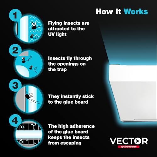 Vector Optima White Wall (White)