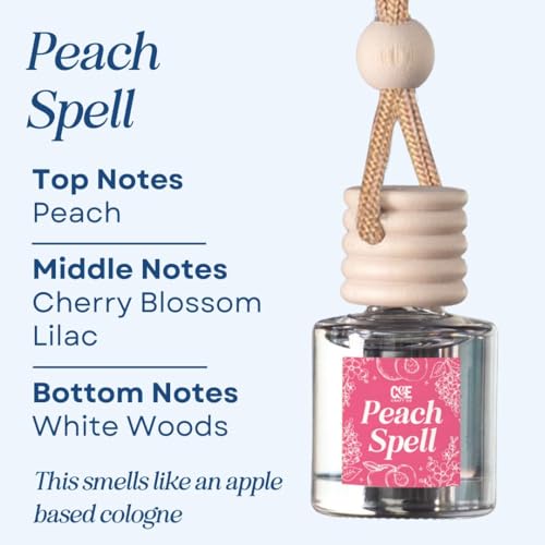 CANDECraftCo 2 Pack Hanging Car Air Freshener Diffuser for Essential Oils