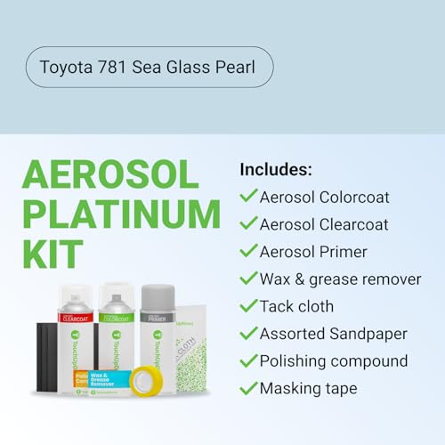 Car Paint Touch Up Spray Kit (Aerosol Spray - Platinum Kit / Sea Glass Pearl)