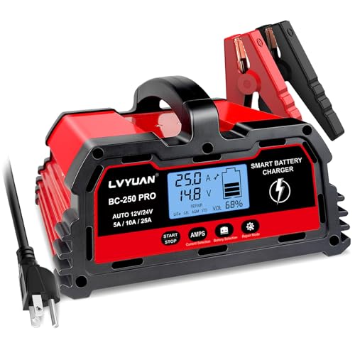 25A Smart Car Battery Charger (25A)