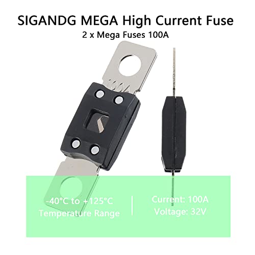 100A MEGA High Current Fuse (100A)