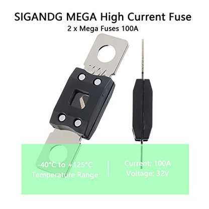 100A MEGA High Current Fuse (100A)