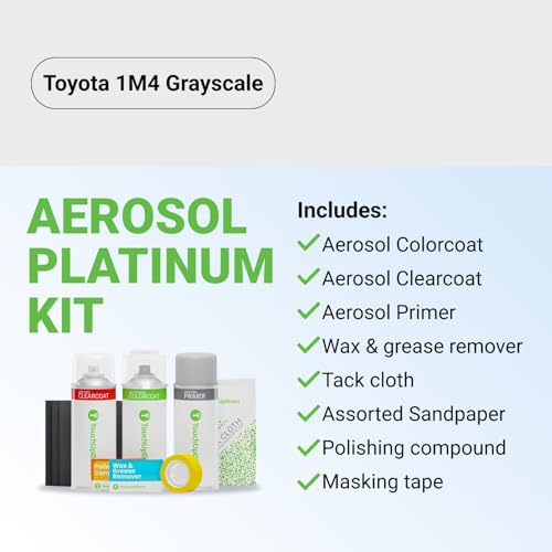Car Paint Touch Up Spray Kit (Aerosol Spray - Platinum Kit / Grayscale)