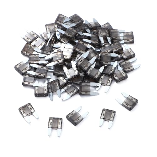 100 Pack Auto Fuses 2 AMP APM (2 AMP)