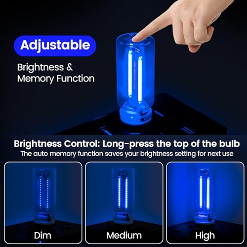 2 PCS Blue Car LED Lights Interior (Blue)