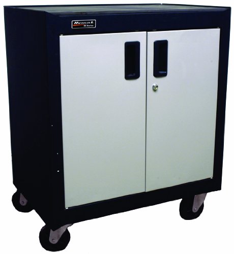 2 Door Mobile Cabinet with Gliding Shelf (2 Door Mobile Cabinet - Gliding Shelf)