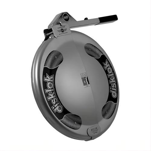 Security Device (Medium, 15.4in - 16.3in)