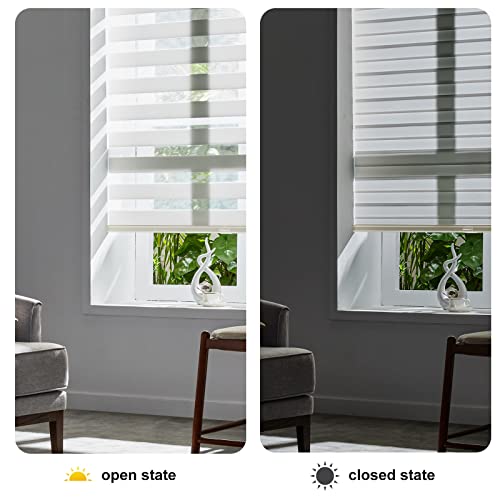 Cordless Zebra Blinds for Indoor Windows (36.25"w X 64"h / White)
