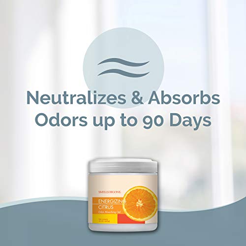 Air Freshener Odor Absorber Gel