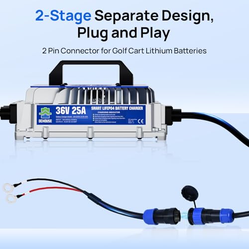 36V 25A Lithium Battery Charger (36V 25A)